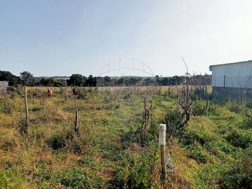 Terreno para Venda em Aveiras de Cima