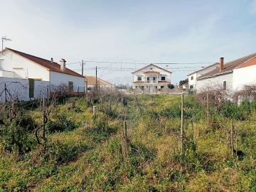 Terreno para Venda em Aveiras de Cima