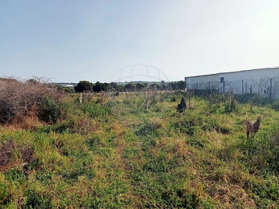 Terreno para Venda em Aveiras de Cima Foto 3