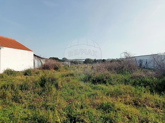 Terreno para Venda em Aveiras de Cima Foto 6
