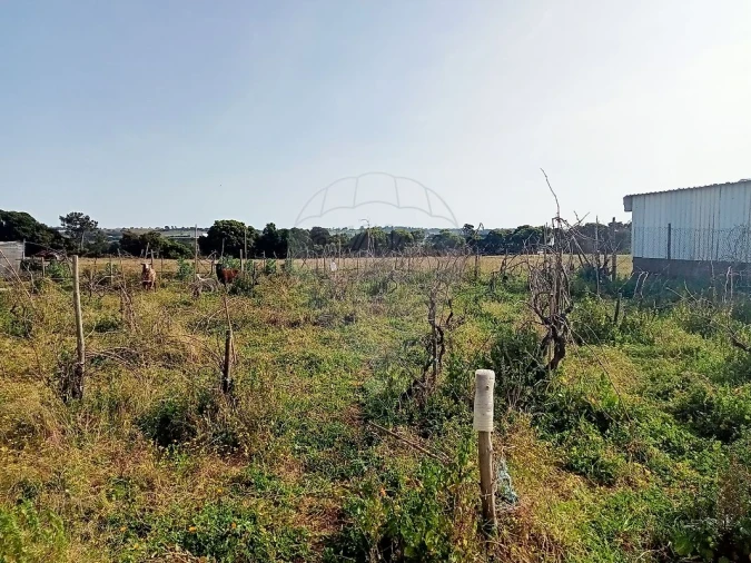 Terreno para Venda em Aveiras de Cima Foto 5