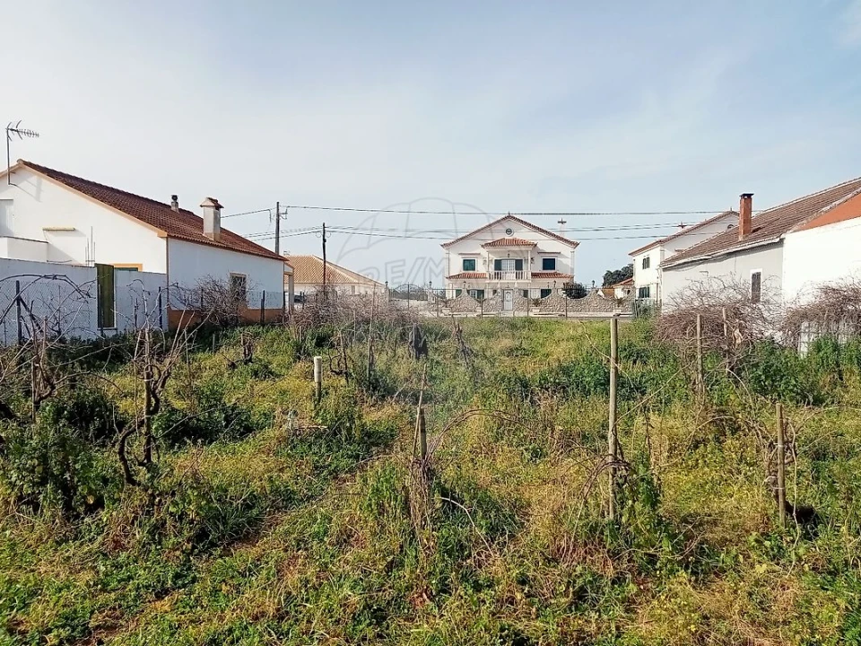 Terreno para Venda em Aveiras de Cima Foto 4