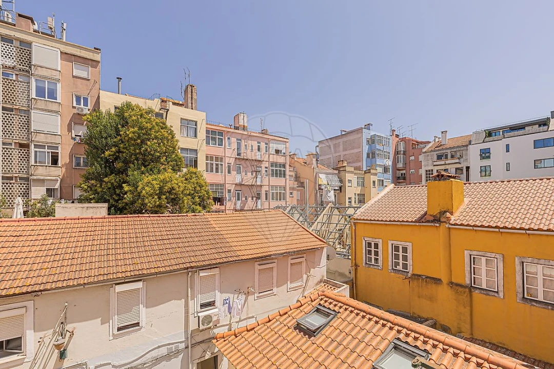 Apartamento T1 para Arrendamento em Campo de Ourique Foto 36