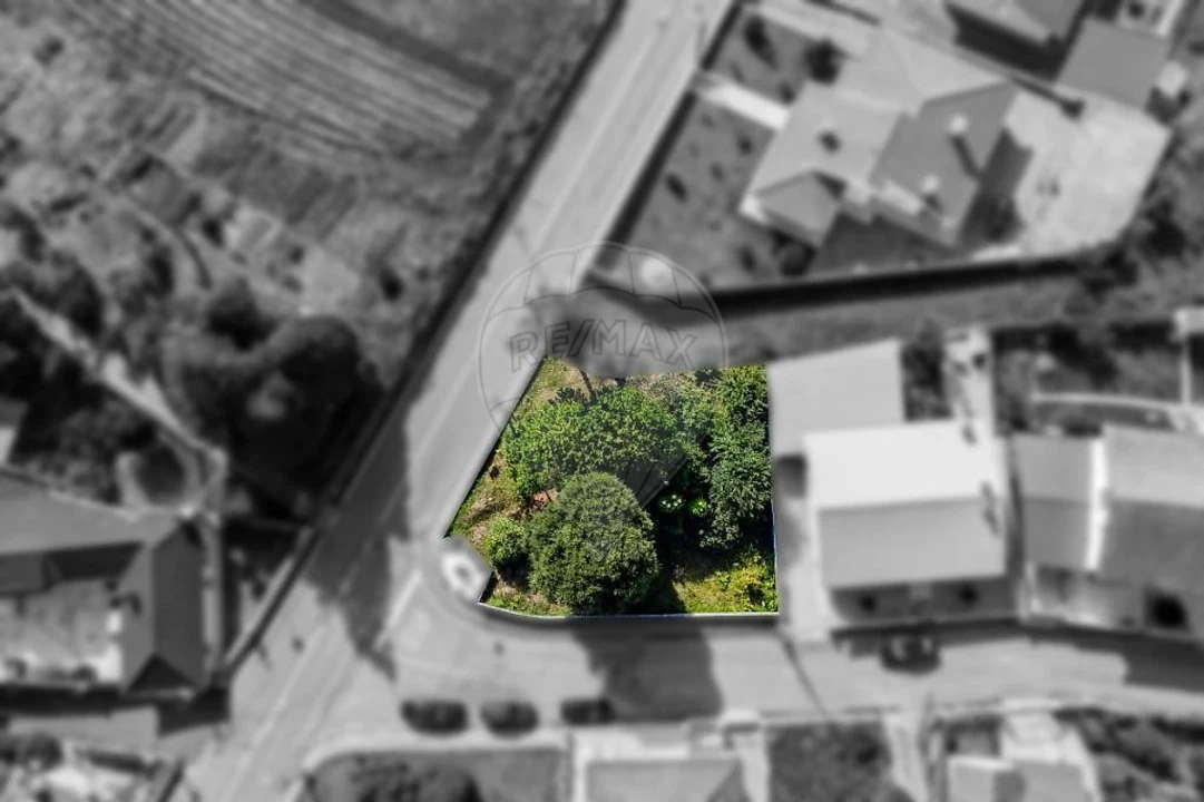 Terreno para Venda em Fiães Foto 7