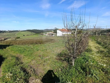 Moradia para Venda em Moita dos Ferreiros