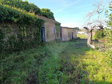 Moradia para Venda em Moita dos Ferreiros