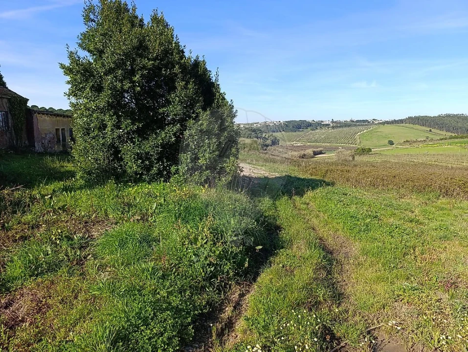 Moradia para Venda em Moita dos Ferreiros Foto 1
