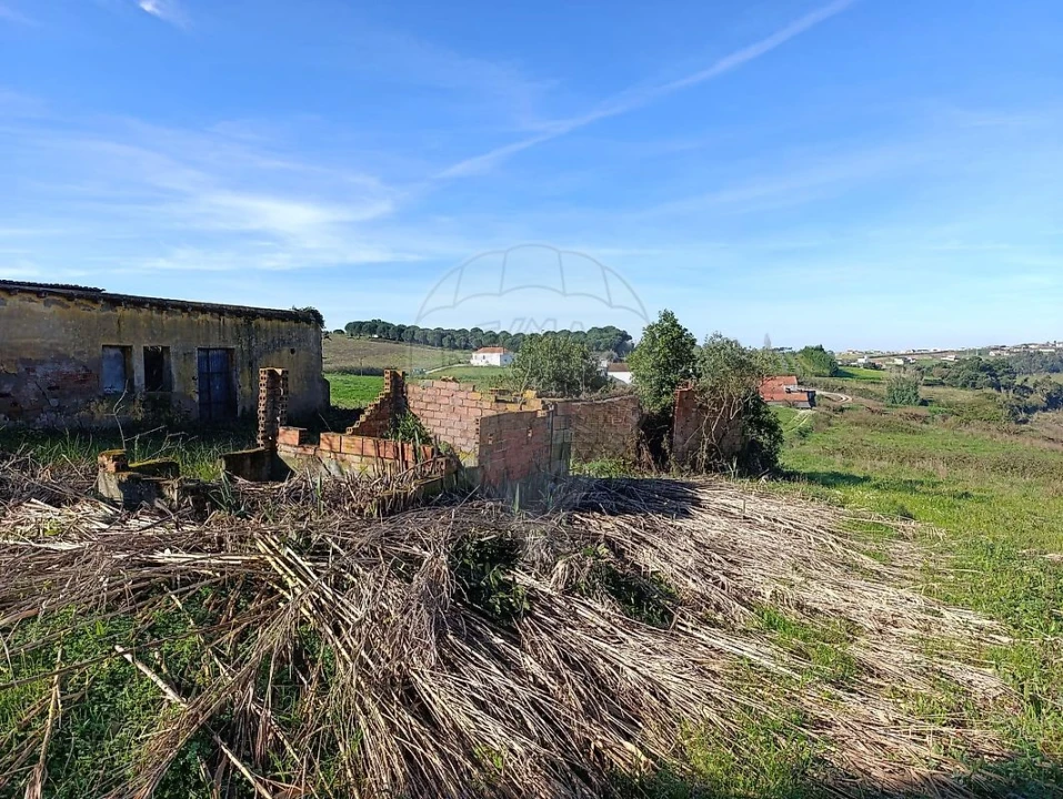 Moradia para Venda em Moita dos Ferreiros Foto 3