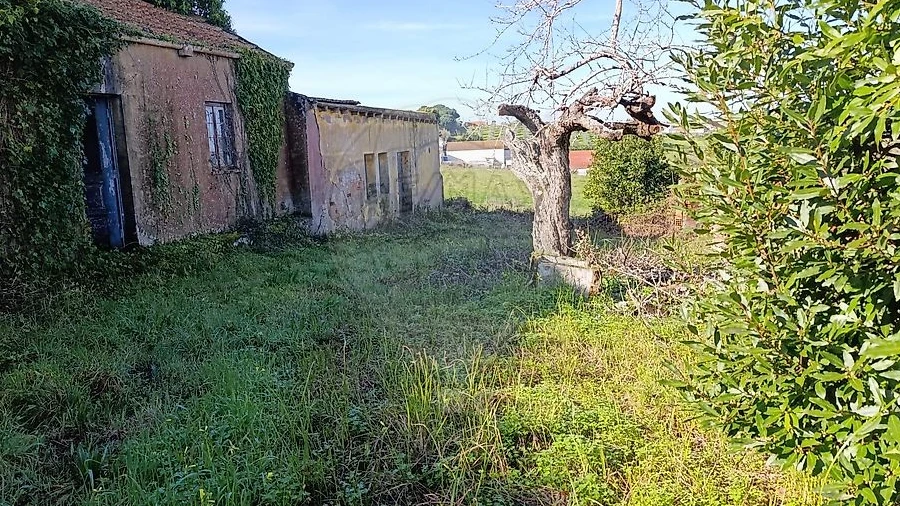 Moradia para Venda em Moita dos Ferreiros