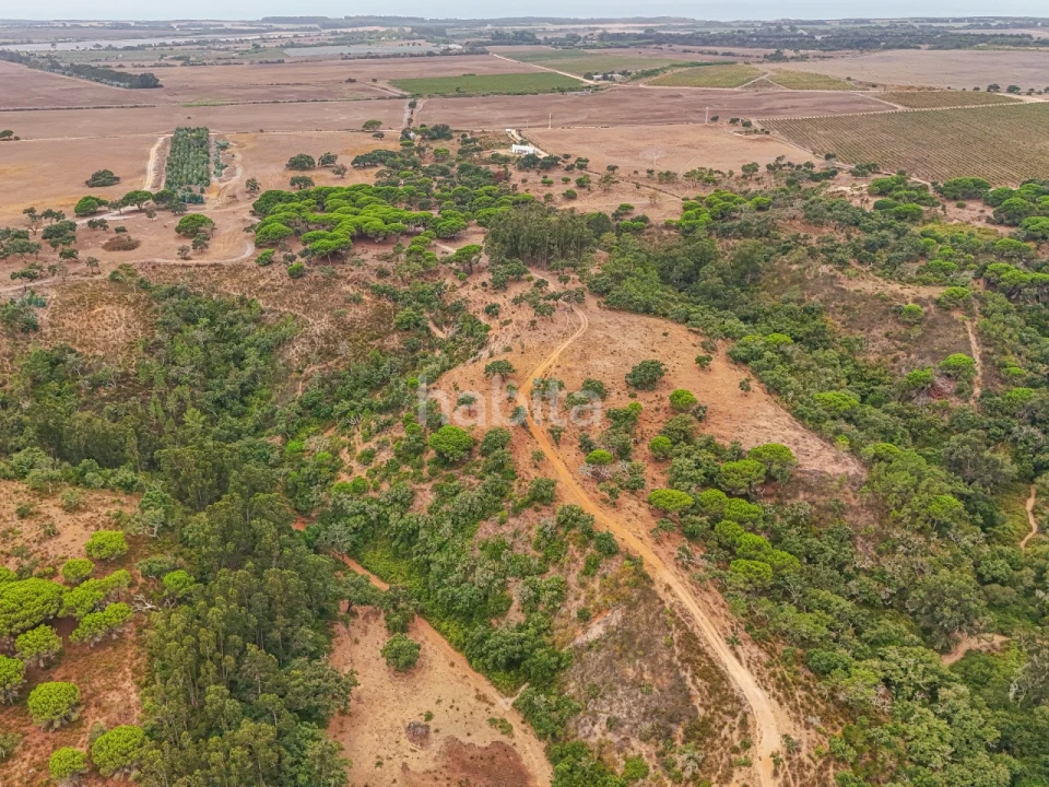 Quinta T2 para Venda em Longueira/Almograve Foto 36