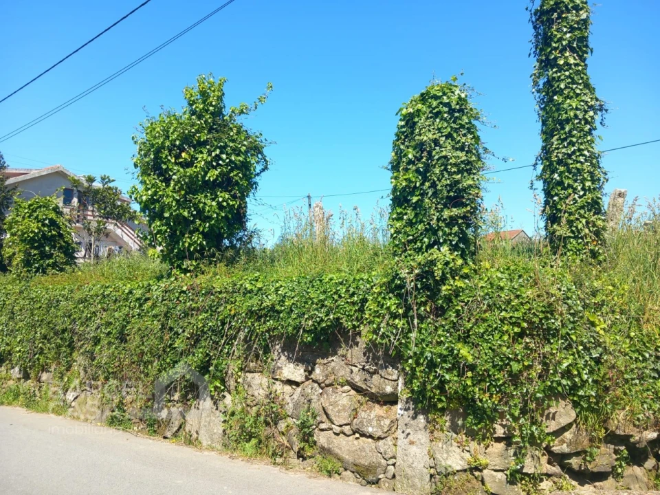 Terreno para Venda em Antas Foto 1