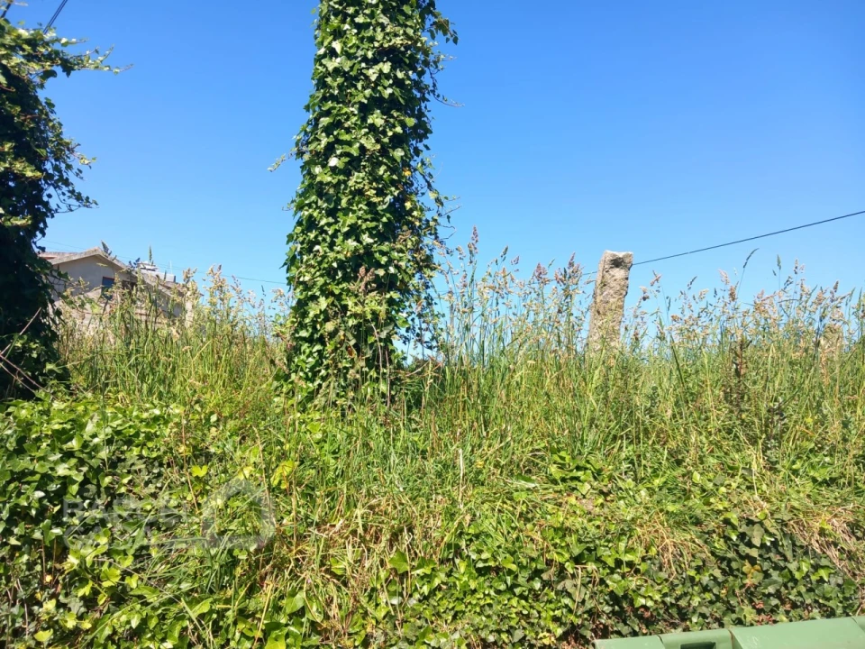 Terreno para Venda em Antas Foto 2