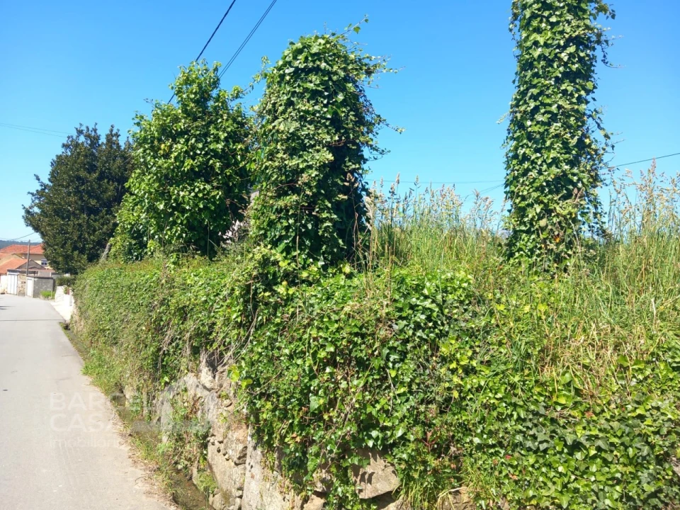 Terreno para Venda em Antas Foto 5