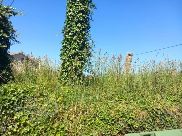 Terreno para Venda em Antas