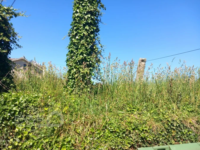 Terreno para Venda em Antas Foto 2