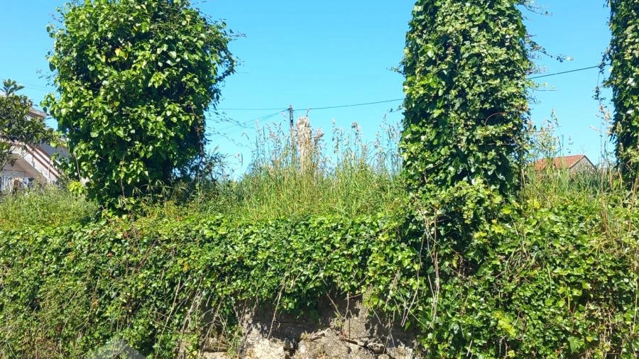 Terreno para Venda em Antas
