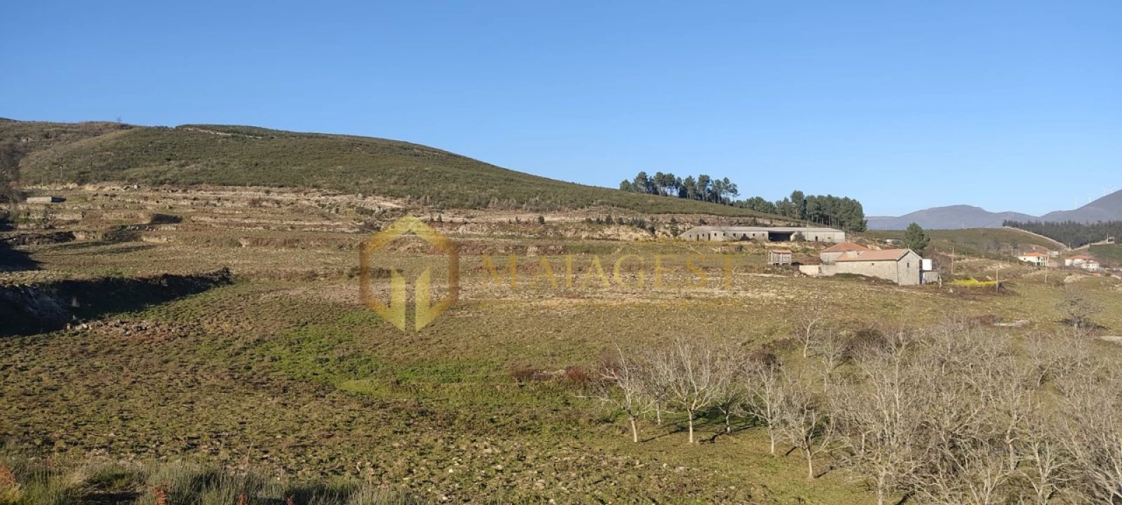 Moradia T5 para Arrendamento em Gestaço Foto 5
