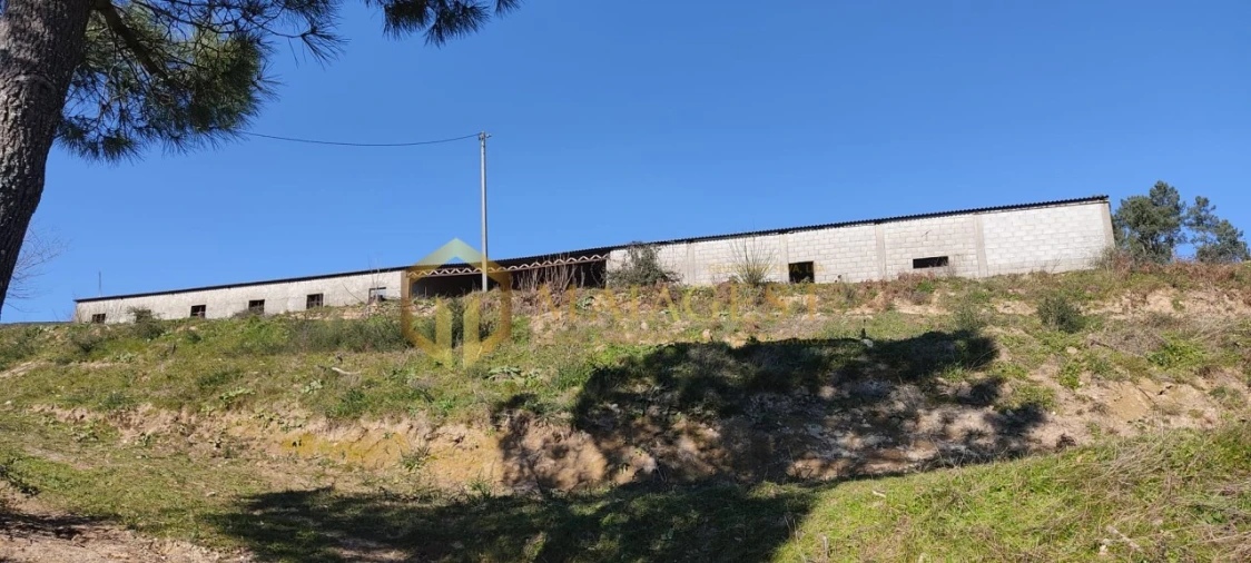 Moradia T5 para Arrendamento em Gestaço Foto 3