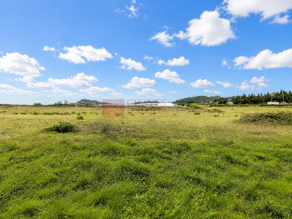 Terreno Agricola ou Rústico para Venda em Lousa Foto 3