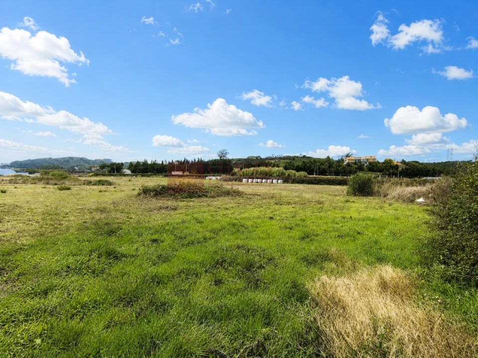 Terreno Agricola ou Rústico para Venda em Lousa Foto 4