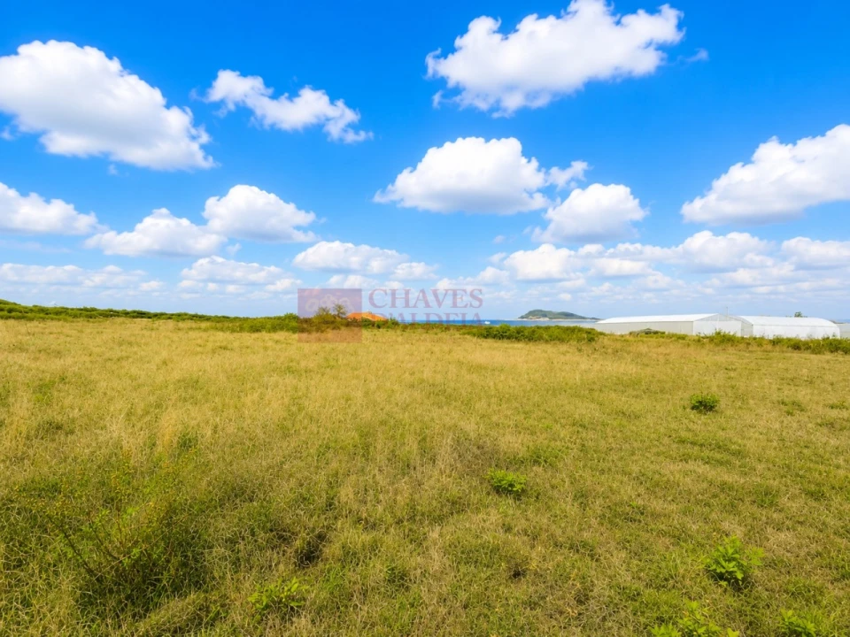 Terreno Agricola ou Rústico para Venda em Lousa Foto 10