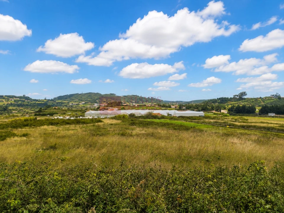 Terreno Agricola ou Rústico para Venda em Lousa Foto 13