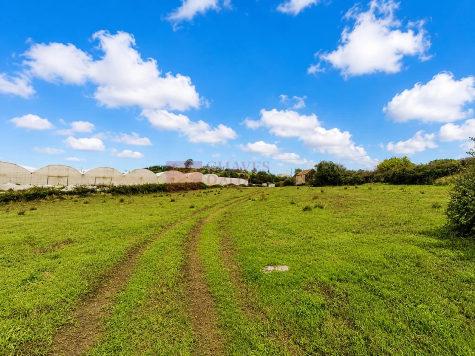 Terreno Agricola ou Rústico para Venda em Lousa Foto 14