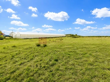 Terreno Agricola ou Rústico para Venda em Lousa