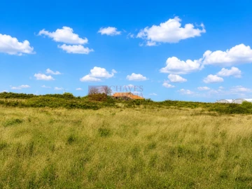 Terreno Agricola ou Rústico para Venda em Lousa