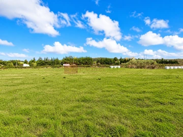 Terreno Agricola ou Rústico para Venda em Lousa
