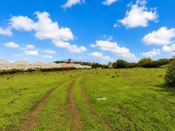 Terreno Agricola ou Rústico para Venda em Lousa
