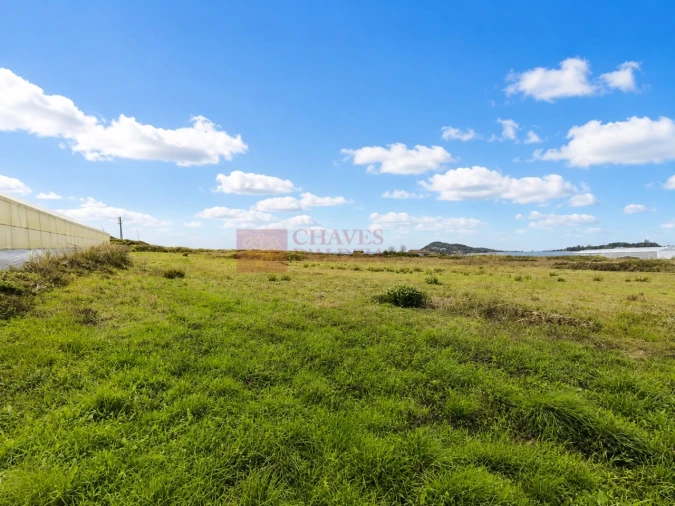 Terreno Agricola ou Rústico para Venda em Lousa Foto 5