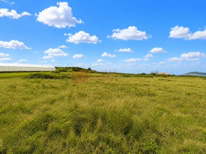 Terreno Agricola ou Rústico para Venda em Lousa Foto 9