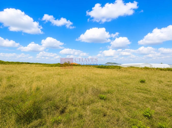 Terreno Agricola ou Rústico para Venda em Lousa Foto 10