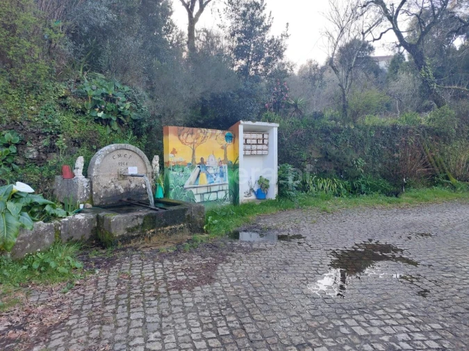 Moradia T0 para Venda em Raiva, Pedorido e Paraíso Foto 10