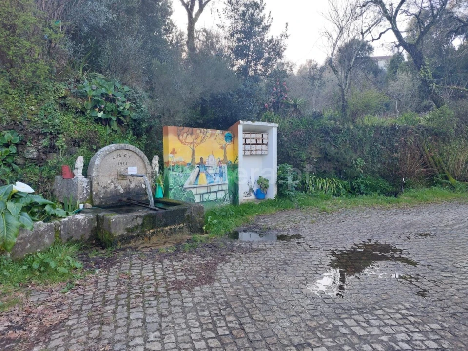 Moradia T0 para Venda em Raiva, Pedorido e Paraíso Foto 10