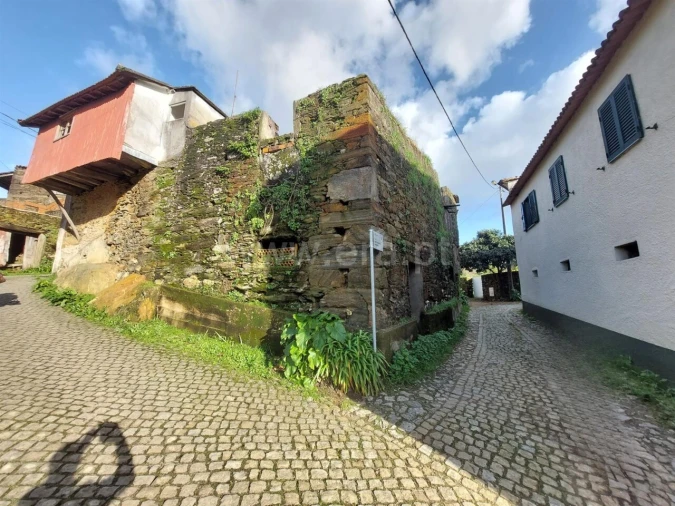 Moradia T0 para Venda em Raiva, Pedorido e Paraíso Foto 3