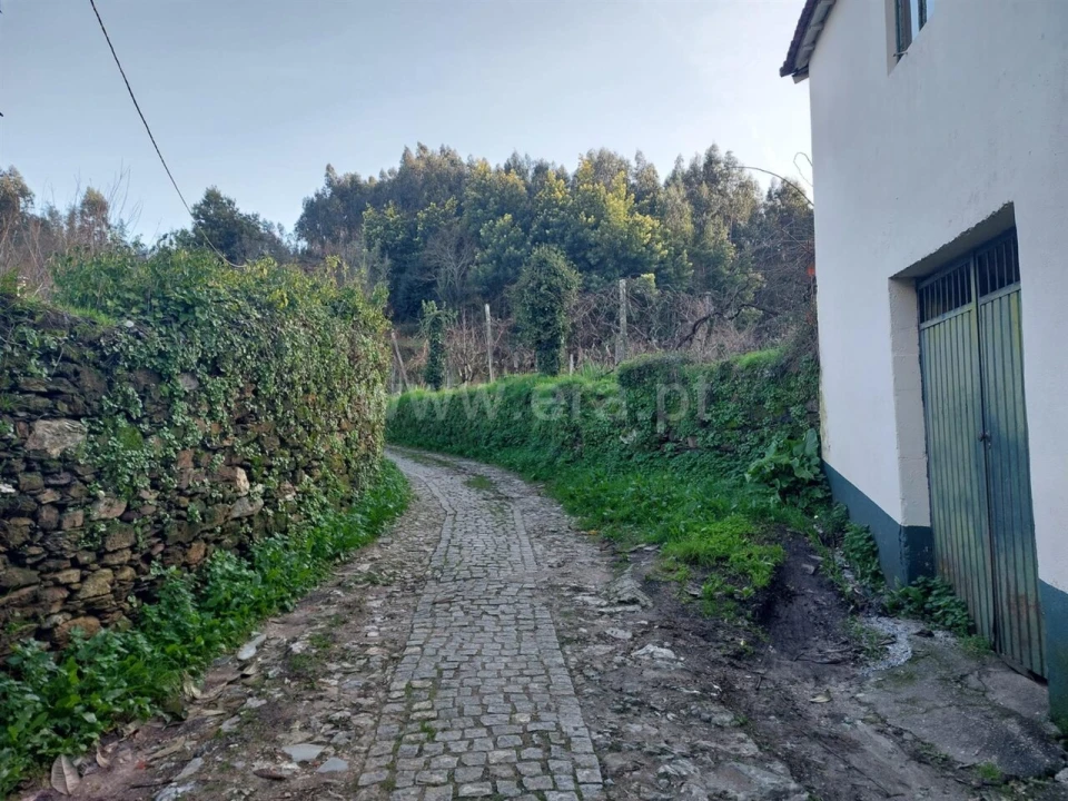Moradia T0 para Venda em Raiva, Pedorido e Paraíso Foto 8