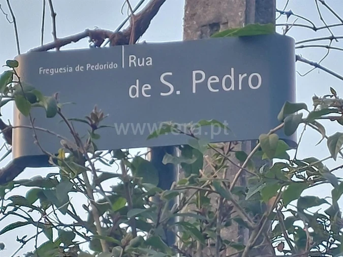 Moradia T0 para Venda em Raiva, Pedorido e Paraíso Foto 5