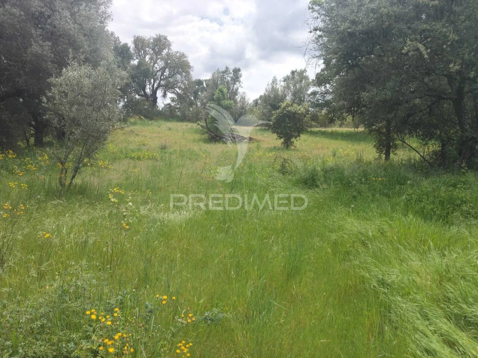 Terreno para Venda em Leomil, Mido, Senouras e Aldeia Nova Foto 4