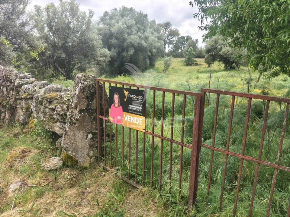Terreno para Venda em Leomil, Mido, Senouras e Aldeia Nova Foto 6