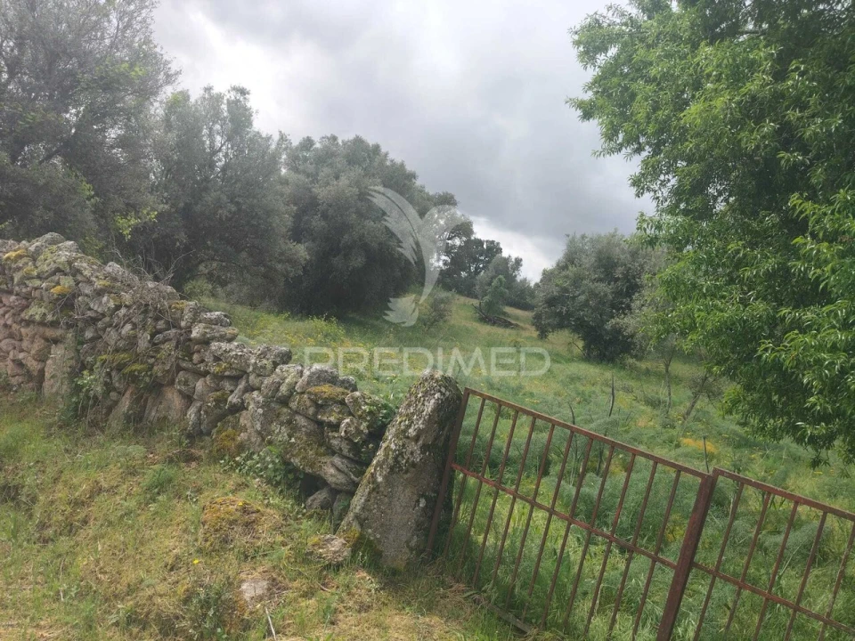 Terreno para Venda em Leomil, Mido, Senouras e Aldeia Nova Foto 2