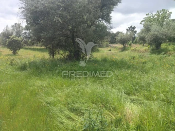 Terreno para Venda em Leomil, Mido, Senouras e Aldeia Nova