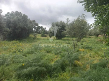 Terreno para Venda em Leomil, Mido, Senouras e Aldeia Nova