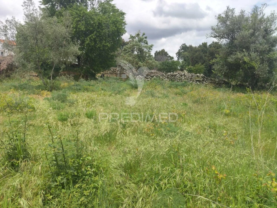 Terreno para Venda em Leomil, Mido, Senouras e Aldeia Nova Foto 5