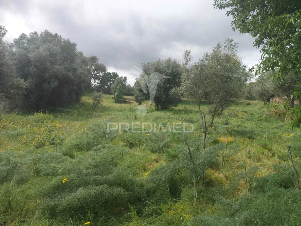Terreno para Venda em Leomil, Mido, Senouras e Aldeia Nova Foto 1