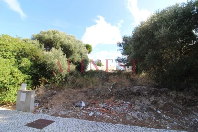 Terreno para Venda em Alcabideche
