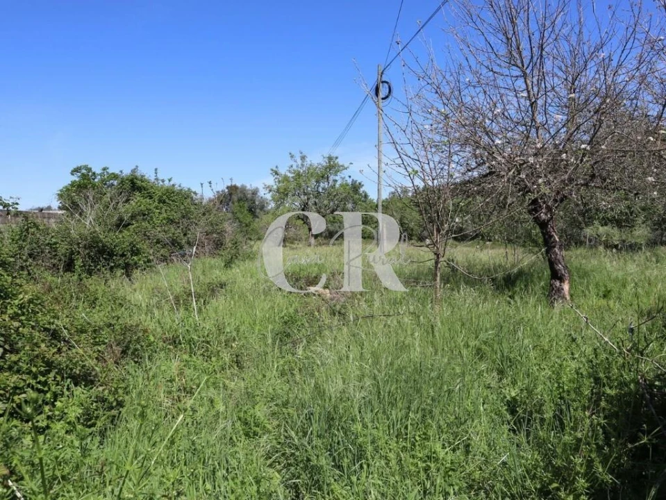 Moradia T2 para Venda em Lousã e Vilarinho Foto 34