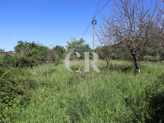 Moradia T2 para Venda em Lousã e Vilarinho Foto 34