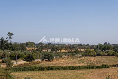 Apartamento T3 para Venda em Alcains